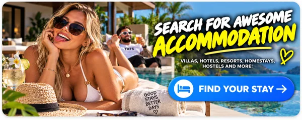 Search hotels